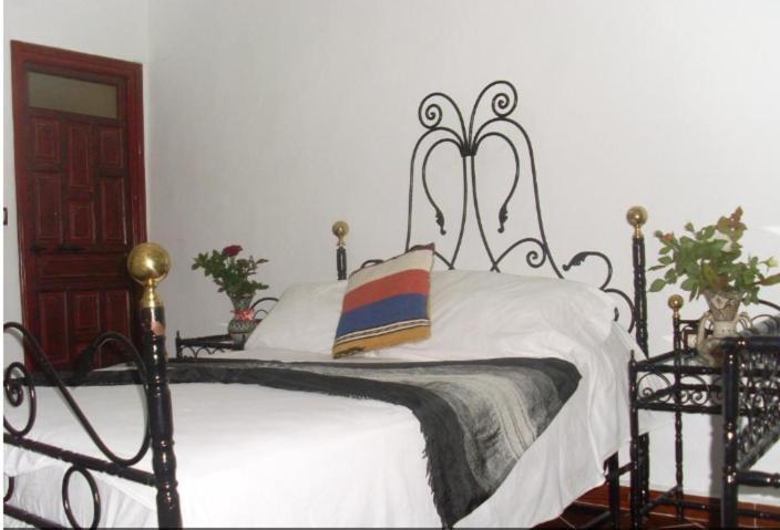 Hostel The Atlas Lion Танжер Экстерьер фото